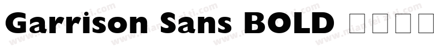 Garrison Sans BOLD 语言英文字体转换